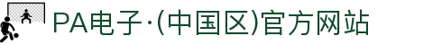 PA电子·(中国区)官方网站
